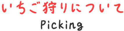 いちご狩りについて